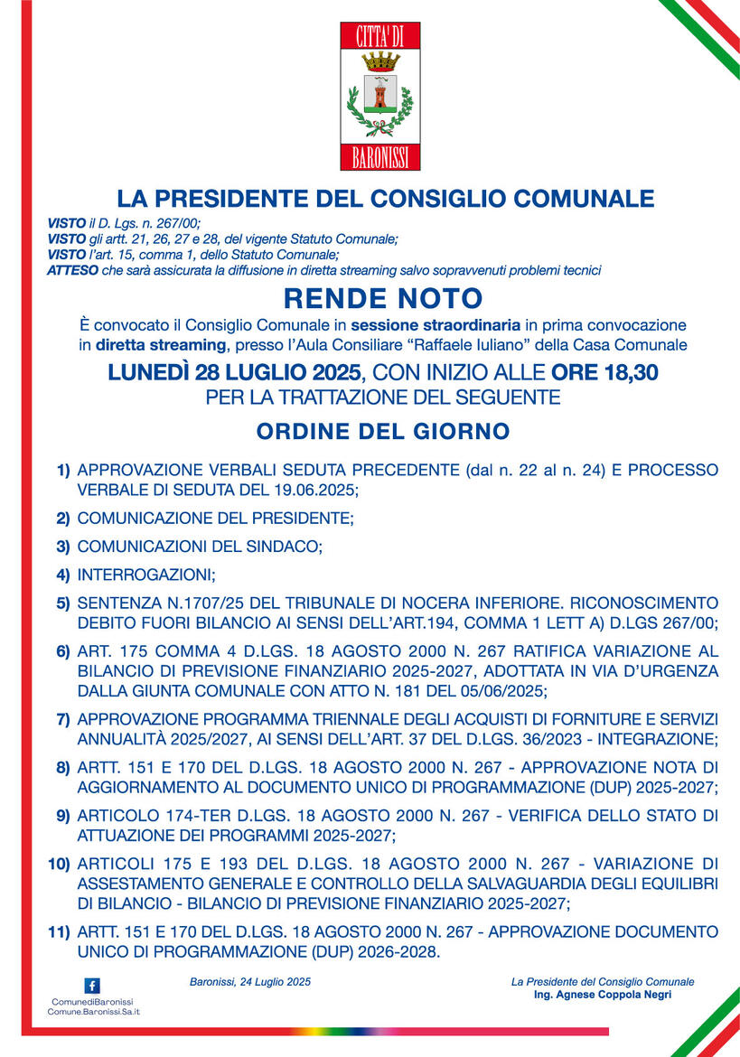 Immagine: consiglio comunale