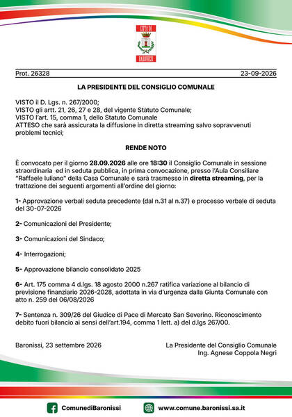 Immagine: consiglio comunale