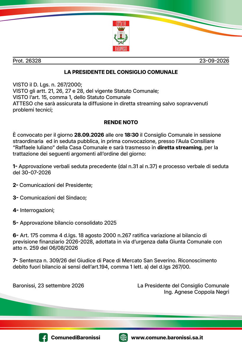 Immagine: consiglio comunale