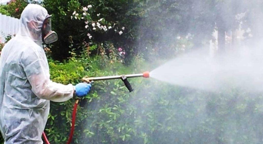 Immagine: derattizzazione