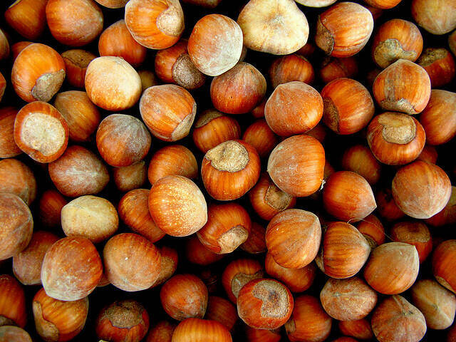 Immagine: nocciole