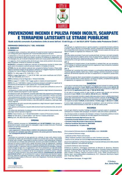 Immagine: Pulizia fondi