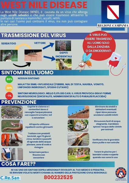 Immagine: Virus Zanzara